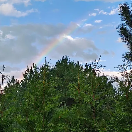 Przystan Natury - Drewniany Vakantiehuis Domyslow