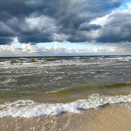 Vakantiehuis Przystan Natury - Drewniany