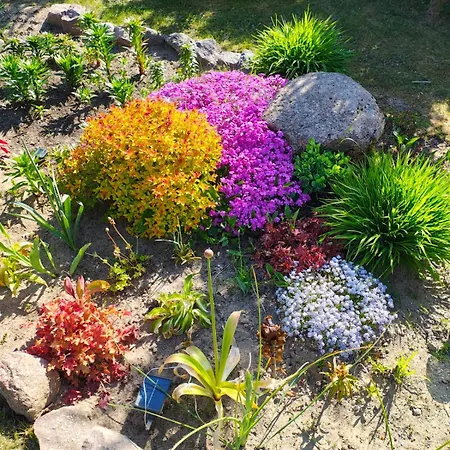 Przystan Natury - Drewniany * Domyslow