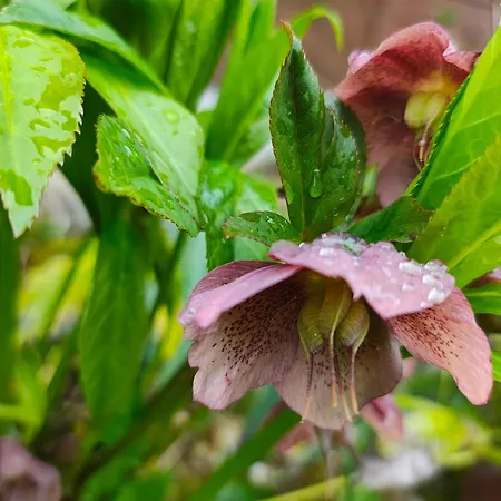 Przystan Natury - Drewniany *