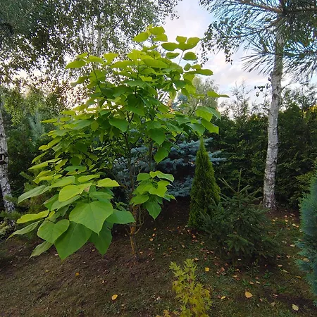 Przystan Natury - Drewniany Vakantiehuis