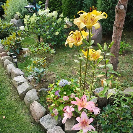 Przystan Natury - Drewniany Vakantiehuis Domyslow